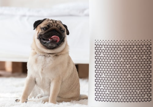 Do HEPA Filters Improve Indoor Air Quality?
